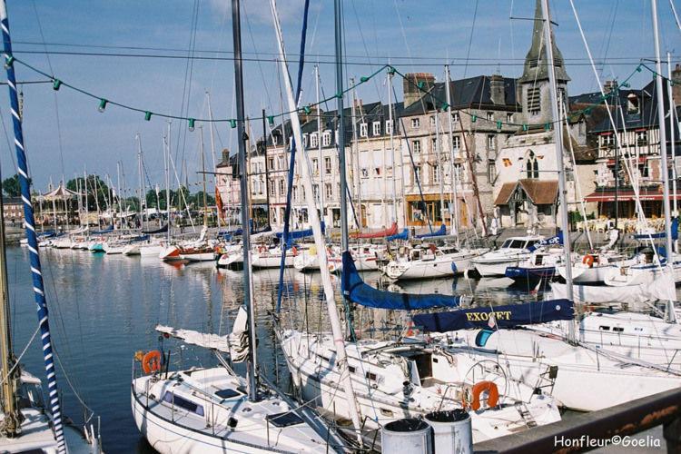 Residence Goelia Les Portes D'Honfleur Boulleville Bilik gambar